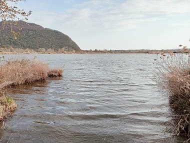 Torbiere del Sebino doğa rezervi, İtalya 'nın Brescia kentindeki Lombardiya bölgesi tarafından kurulan bölgesel doğa rezervlerinden biridir.