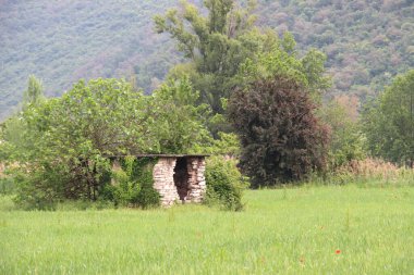 Yeşilli yeşil bir çayır ön plan boyunca uzanır, sık ağaçlar ve çalılardan oluşan yoğun bir zemin oluşturur. Açık pencereli küçük bir taş yapı yeşilliğin ortasında duruyor ve doğal manzaraya cazibe katıyor..