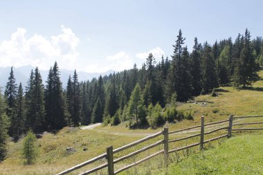 Doğanın güzel manzarası