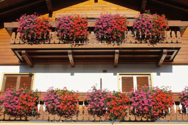 Balkondaki saksılarda güzel çiçekler
