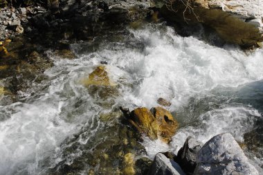 Ormanda güzel bir şelale