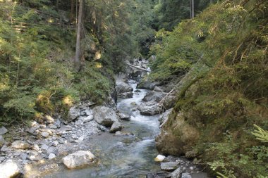 Doğanın güzel manzarası