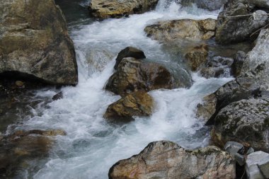 Ormanda güzel bir şelale