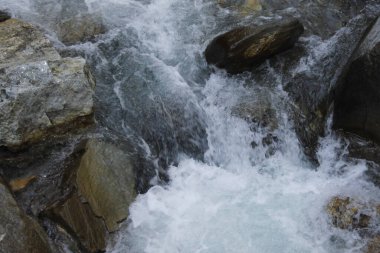 Ormanda güzel bir şelale