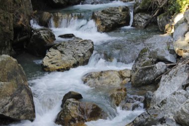 dağlarda ormandaki nehir