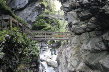 Ormanda güzel bir şelale