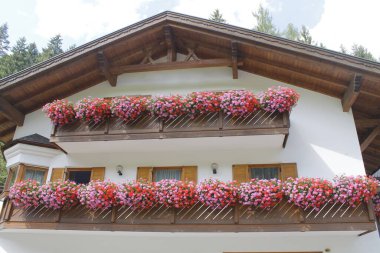 Şehrin güzel manzarası