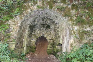 Ormandaki mağaranın güzel manzarası.