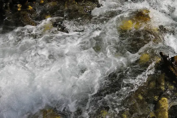 Ormanda güzel bir şelale