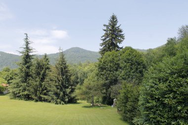 Dağın tepesinden manzara