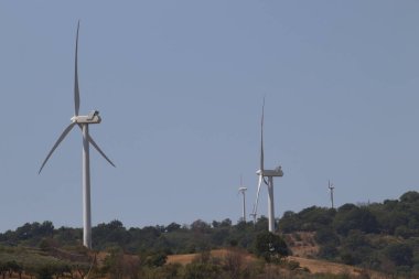 Portekiz kırsalında yel değirmeni