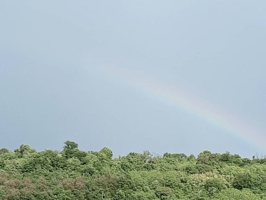 Yeşil Çimen ve Mavi Gökyüzü