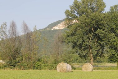 Dağlı tarlanın manzarası