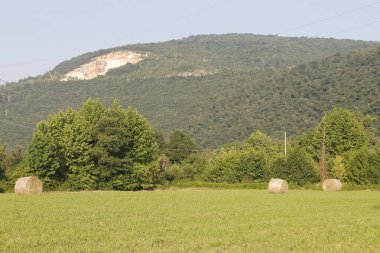 Yeşil çimlerin üzerinde büyük bir taş.