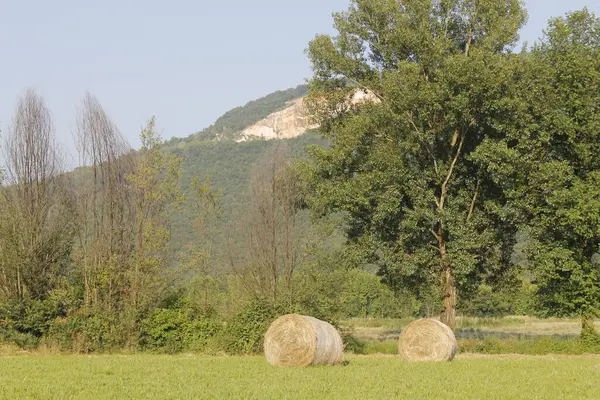 Dağ sırası olan güzel bir manzara.