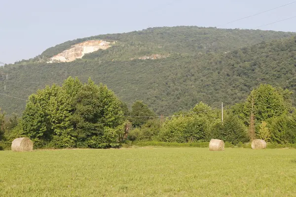 Yeşil çimlerin üzerinde büyük bir taş.
