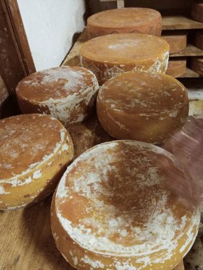 Bir yığın peynirin yakın plan çekimi.