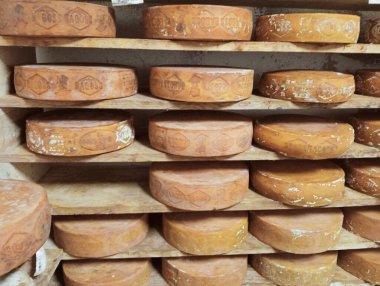Peynir deposunda farklı peynir türleri var.