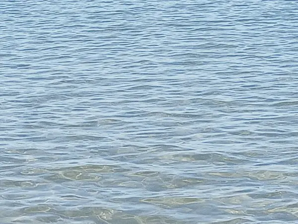 deniz dalgaları ve su