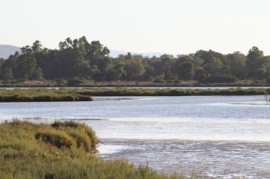 Grosseto ili Orbetello Lagoon 'un manzarası. WWF koruma alanı, Toskana, İtalya