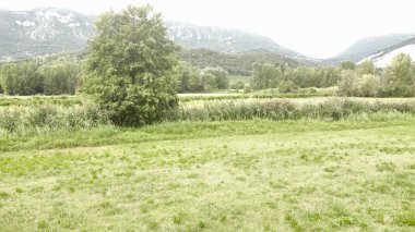 Parkın güzel manzarası