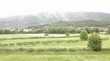 Yeşil çayırlı güzel dağ manzarası.