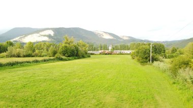 Bir dağ ve ormanı olan güzel bir manzara.