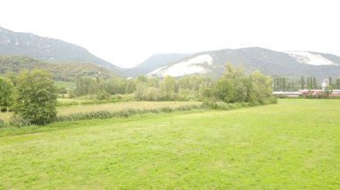 Yeşil bir tarla manzarası ve arka planda bir dağ