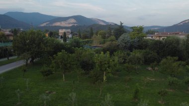 Arka planda ormanı olan bir dağdan kırsal manzara