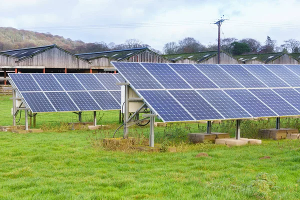 Zonnepanelen Een Veehouderij Die Schone Duurzame Energie Leveren Emissies Landbouw — Stockfoto