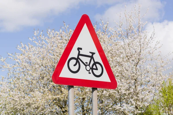 Cycling Route Sign Blue Skies Flower Blossoms Background Useful Concept — 图库照片