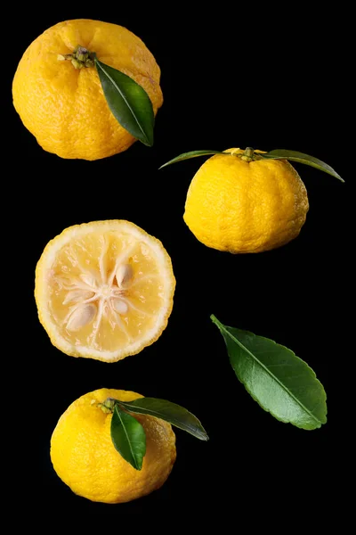Yuzu Fruits Isolated Ablack Background — Stock Photo, Image