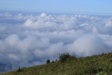Gökyüzü beyaz bulutlarla kaplı..