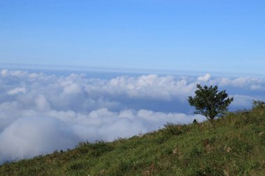 Turistler gün doğumunu izlemek için çayırlarda yürürler..