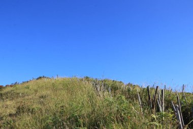 Turistler gün doğumunu izlemek için çayırlarda yürürler..