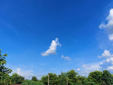 Açık Mavi Gökler, Altında Yeşil Ağaçlar, Arkaplanda Bir Ev ve Elektrik Kablolarının kesiştiği Bir Yaz Sabah Sahnesi