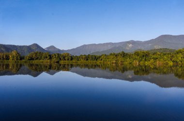 Gölette sakin bir sabah. Etrafı yağmur ormanlarıyla çevrili.