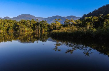 Gölette sakin bir sabah. Etrafı yağmur ormanlarıyla çevrili.