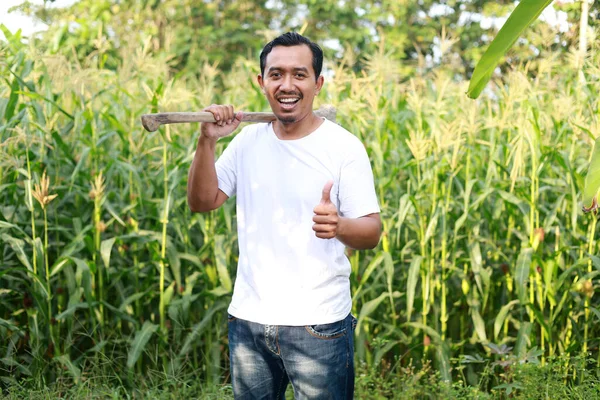 Счастливый Индонезийский Фермер Стоящий Плантации Держа Мотыгу Показывая Большие Пальцы — стоковое фото