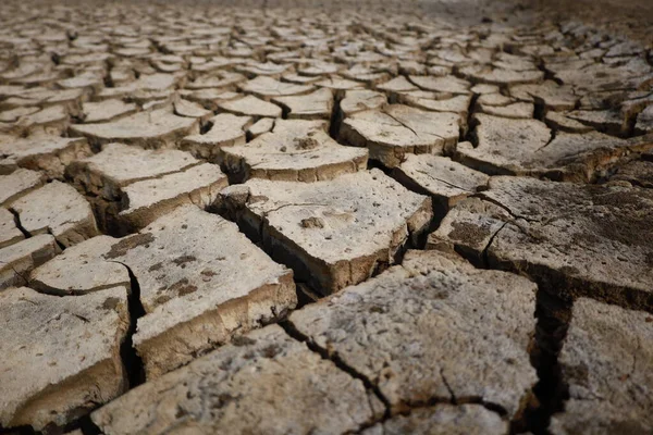 Close up photo of Drought breaks ground fissures
