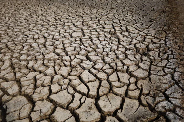Nahaufnahme Von Dürre Reißt Risse Boden — Stockfoto