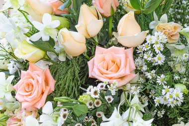 Güller ve diğer güzel çiçekler