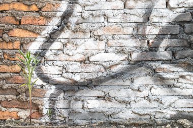 Yol kenarındaki eski tuğla duvar sprey boyayla boyanmış.