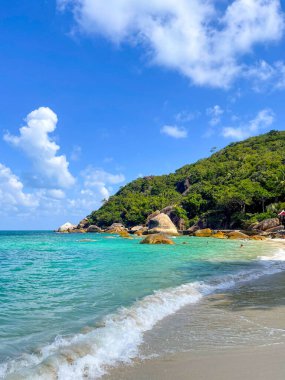 Turkuaz Suyu ve Yeşilliği Olan Tropik Plaj