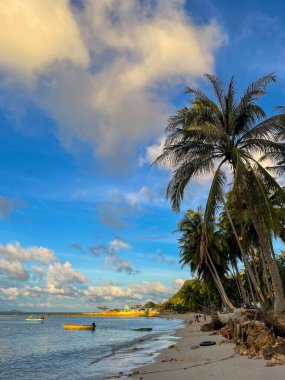 Golden Sunset on a Tropical Beach with Palm Trees and Boats in Paradise clipart