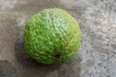 Yerdeki büyük kristal guava