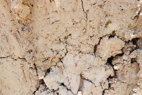 texture of clay background, clay in the field