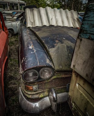 Cottages in an abandoned resort in the middle of the forest. Poland