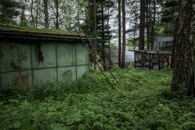 Cottages in an abandoned resort in the middle of the forest. Poland