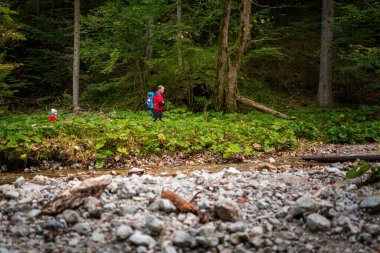 Two backpackers (a woman with a little son) are walking along a creek in a canyon of the Slovak Paradise National Park, Slovakia.